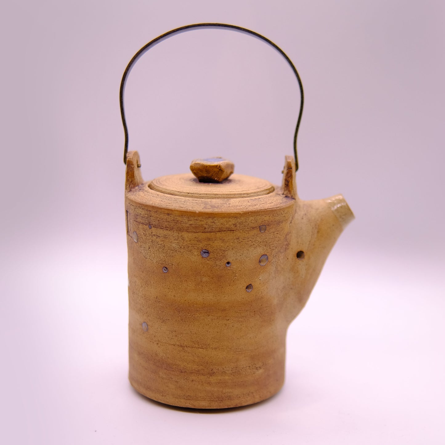 Rustic teapot with metal handle