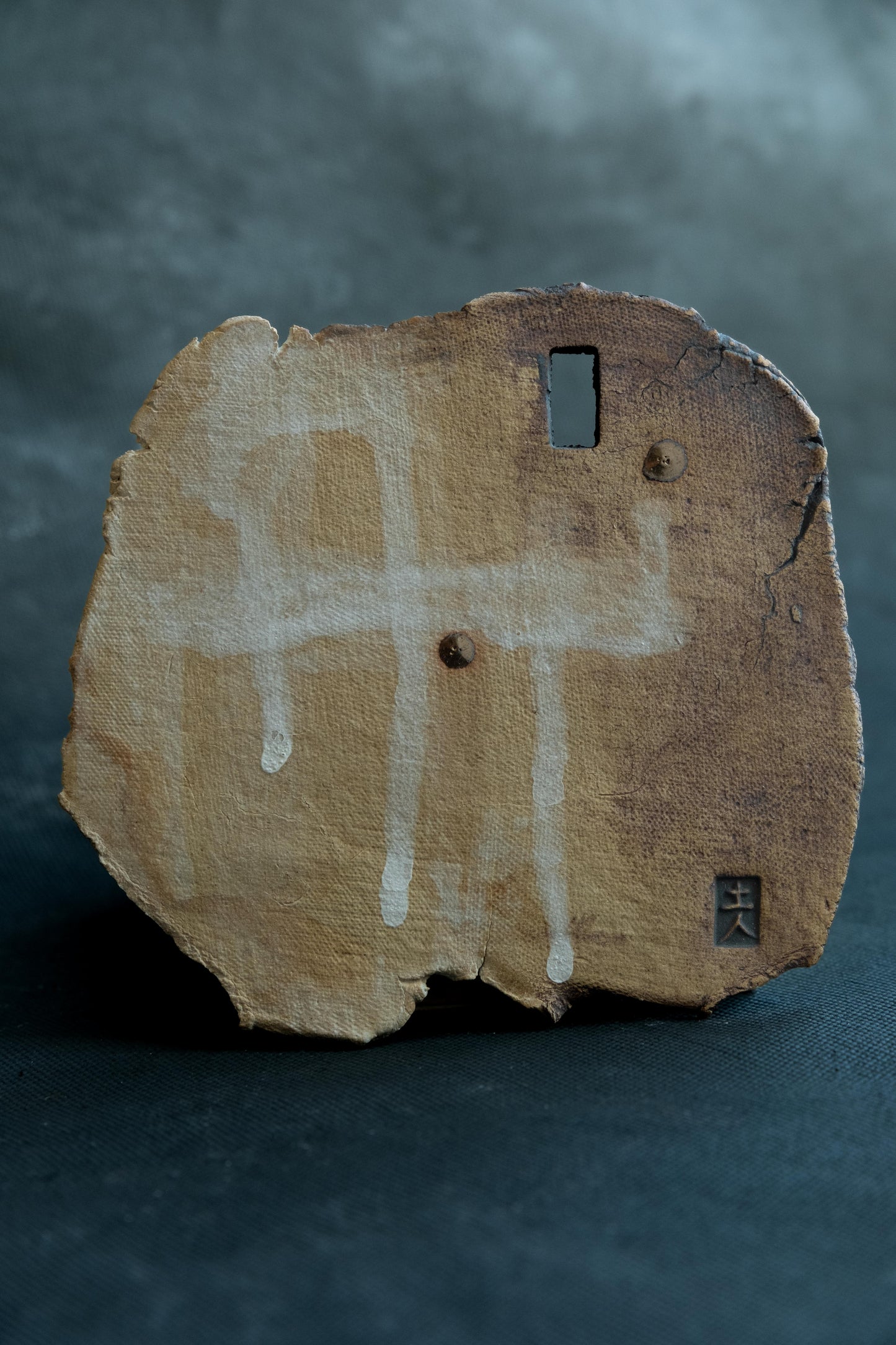 Remnant of the Last Wall