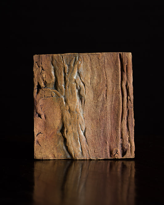 Square Earth (2025)