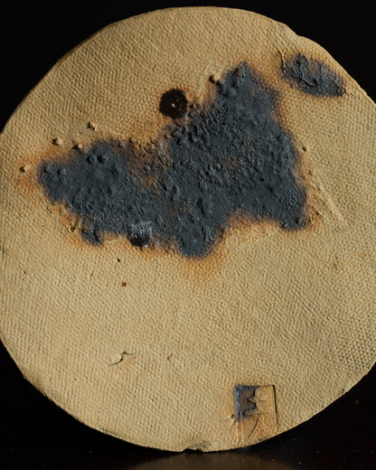 Lunar (2025)